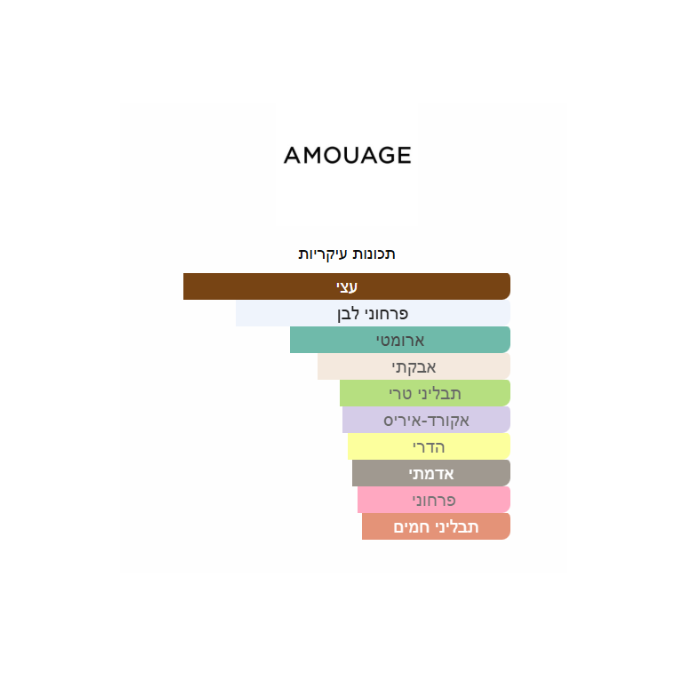 Amouage Reflection Man